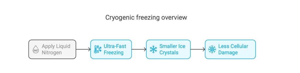 Cryogenic freezing overview